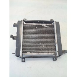 Radiatore Kymco Xciting 300i Xciting 300i R 