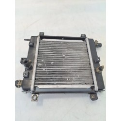 Radiatore Kymco Xciting 300i Xciting 300i R 