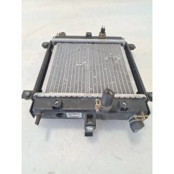 Radiatore Kymco Xciting 300i Xciting 300i R 