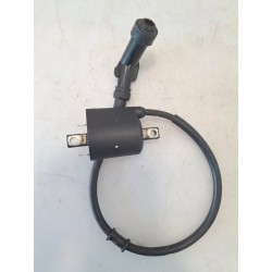 Bobina Kymco Xciting 300i Xciting 300i R 