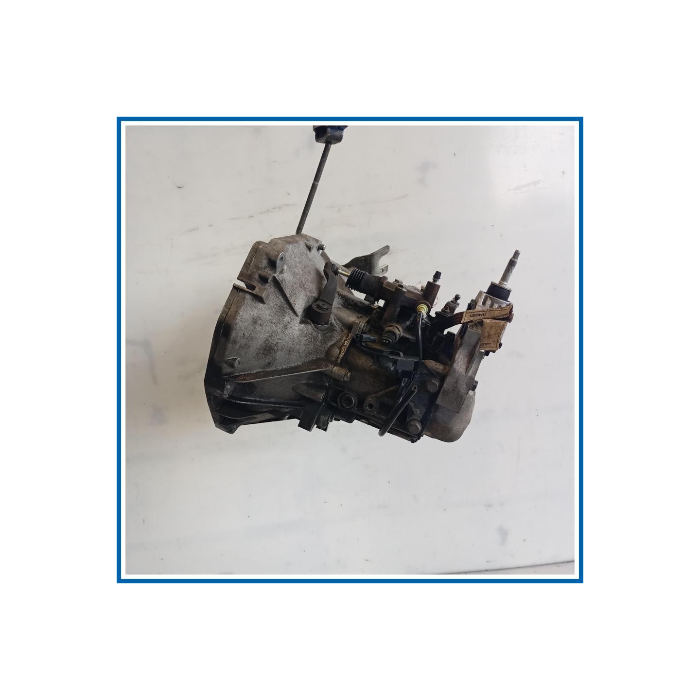 Cambio FIAT Panda III