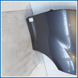 Porta post. sx. NISSAN Juke I