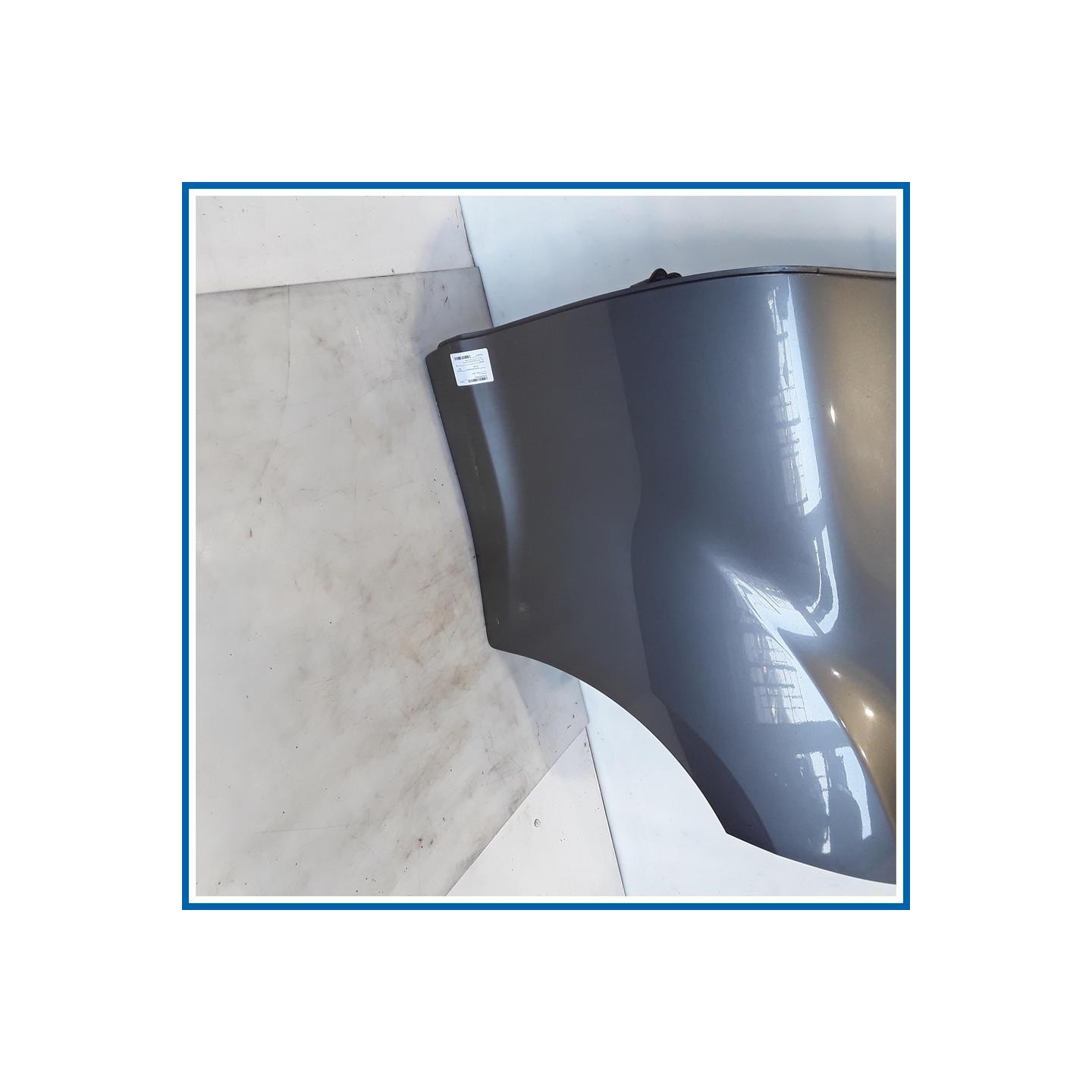Porta post. sx. NISSAN Juke I