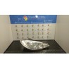 PROIETTORE DX. 007 PEUGEOT 206 (09/98-06/09) 8HZ 6205ZS