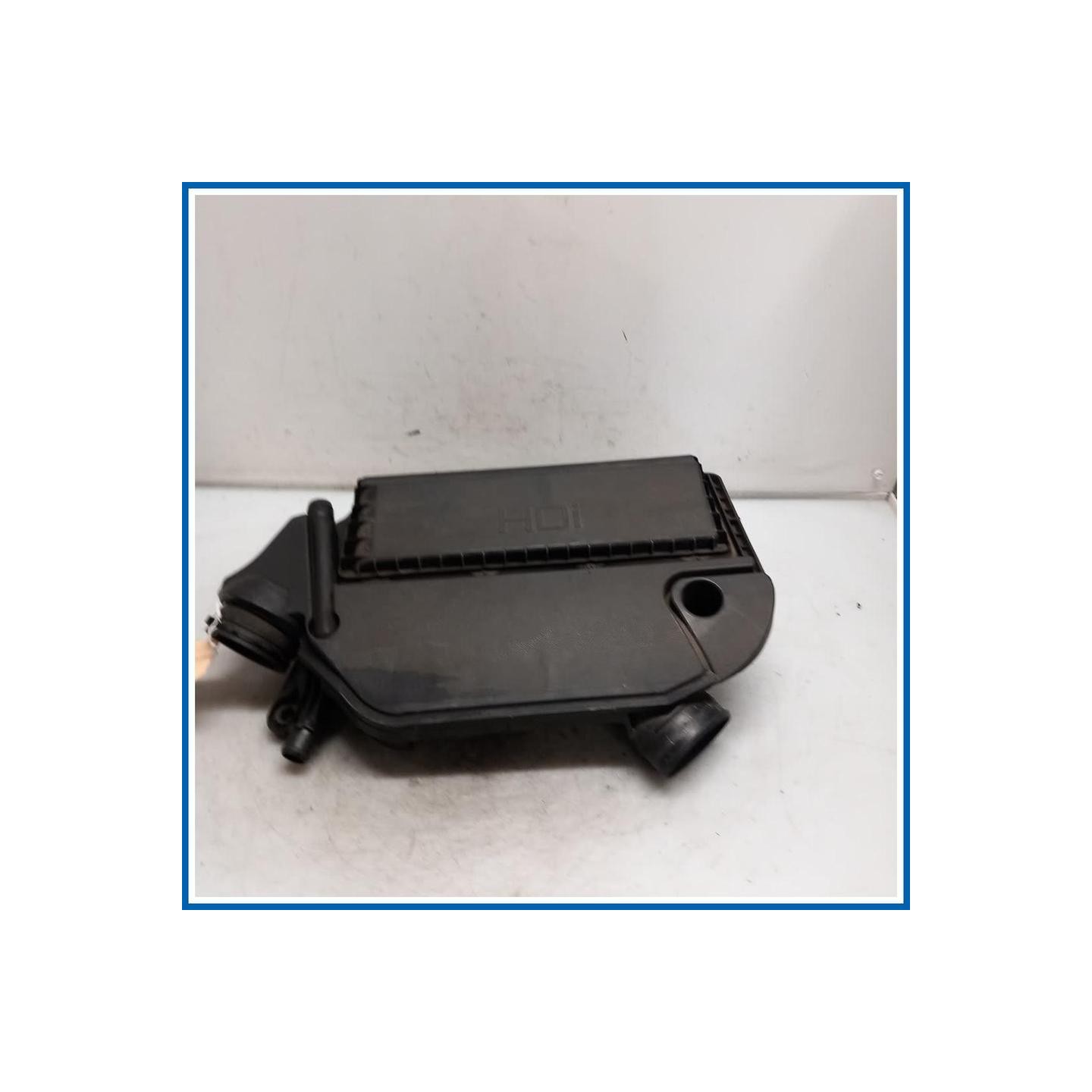 Filtro aria completo PEUGEOT Bipper