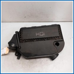 Filtro aria completo PEUGEOT Bipper