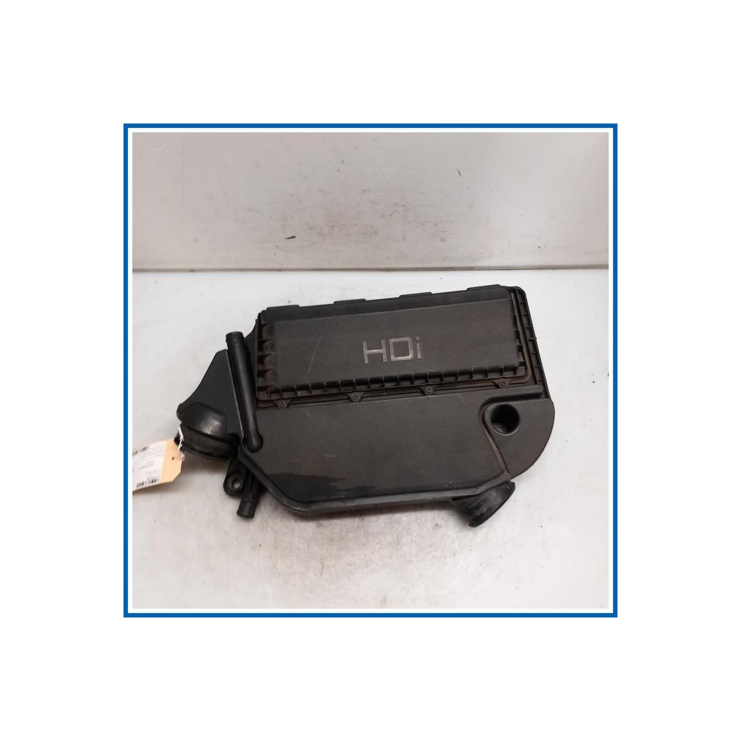 Filtro aria completo PEUGEOT Bipper