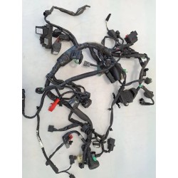 Cablaggio impianto elettrico telaio Honda cb 300 r CB 300 R (2022 - 26) 