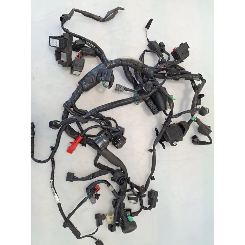 Cablaggio impianto elettrico telaio Honda cb 300 r CB 300 R (2022 - 26) 