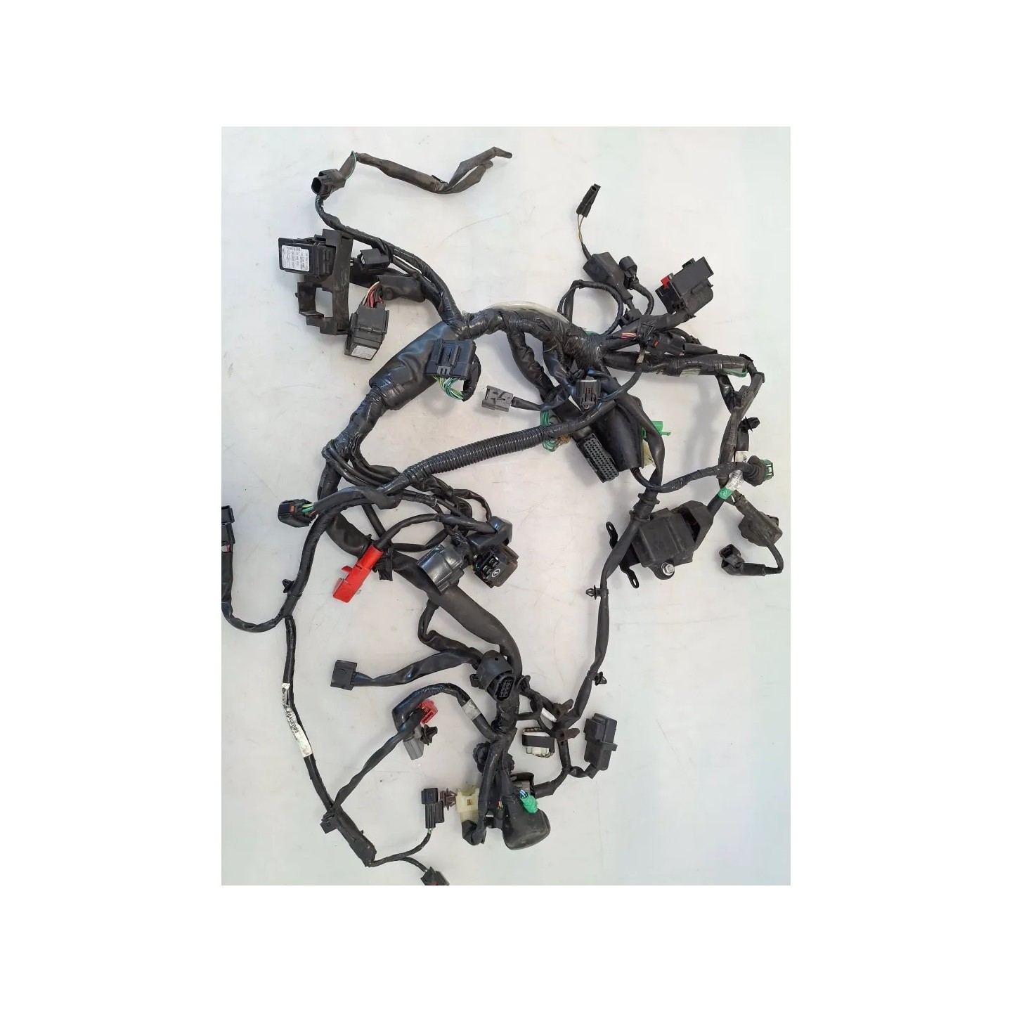 Cablaggio impianto elettrico telaio Honda cb 300 r CB 300 R (2022 - 26)