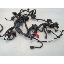 Cablaggio impianto elettrico telaio Honda cb 300 r CB 300 R (2022 - 26) 