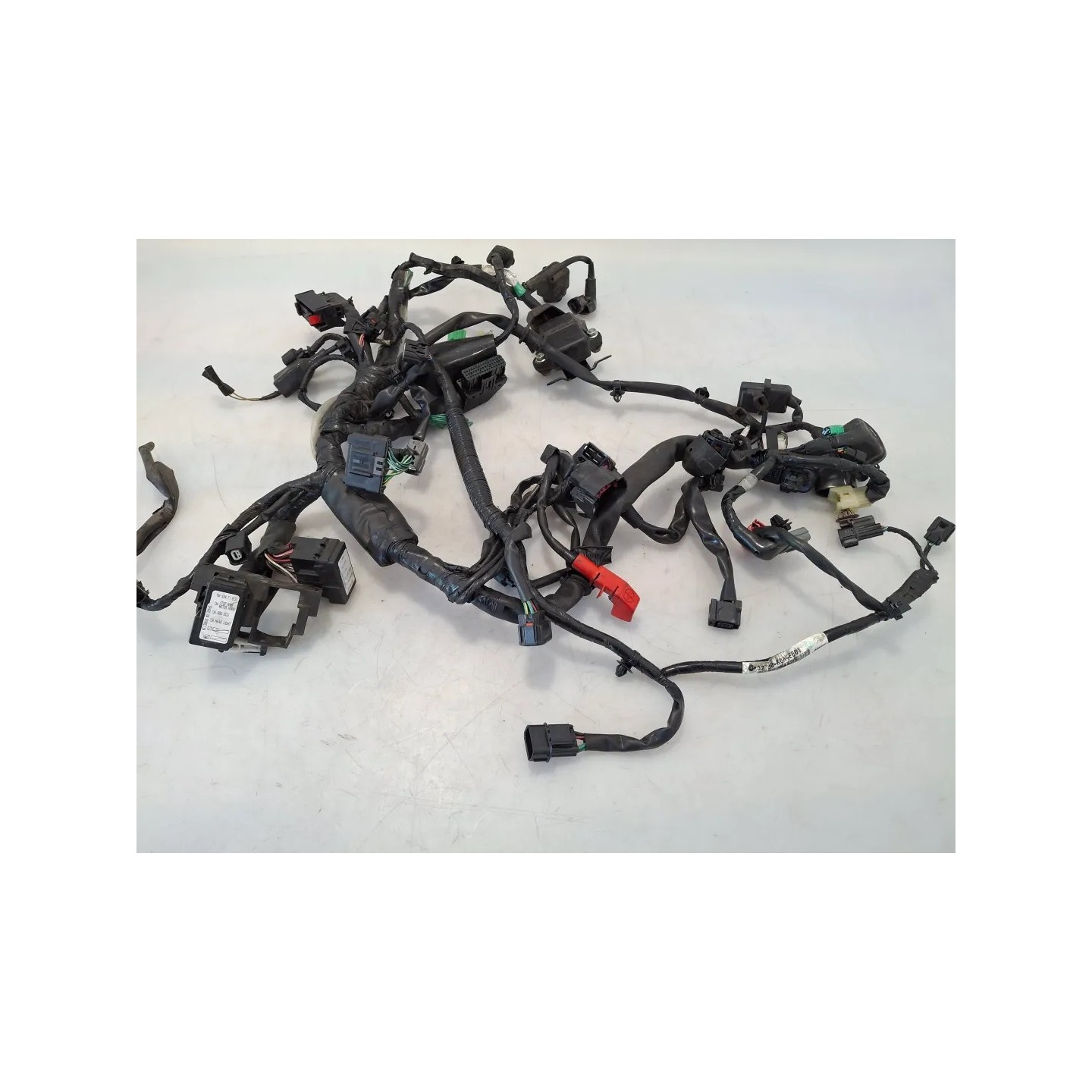 Cablaggio impianto elettrico telaio Honda cb 300 r CB 300 R (2022 - 26) 