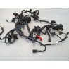 Cablaggio impianto elettrico telaio Honda cb 300 r CB 300 R (2022 - 26) 