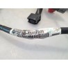 Cablaggio impianto elettrico telaio Honda cb 300 r CB 300 R (2022 - 26) 