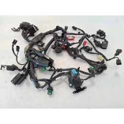 Cablaggio impianto elettrico telaio Honda cb 300 r CB 300 R (2022 - 26) 