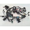 Cablaggio impianto elettrico telaio Honda cb 300 r CB 300 R (2022 - 26) 
