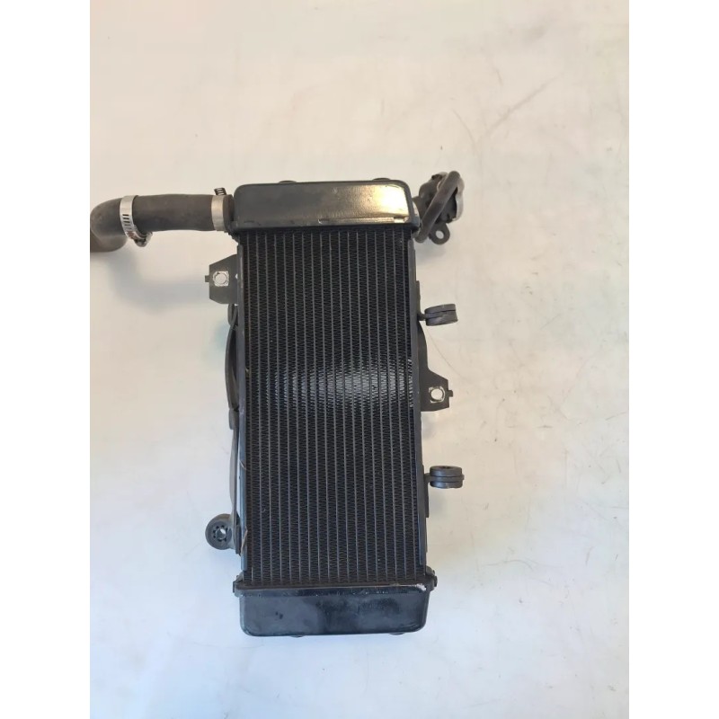 Radiatore Honda cb 300 r CB 300 R (2022 - 26) 