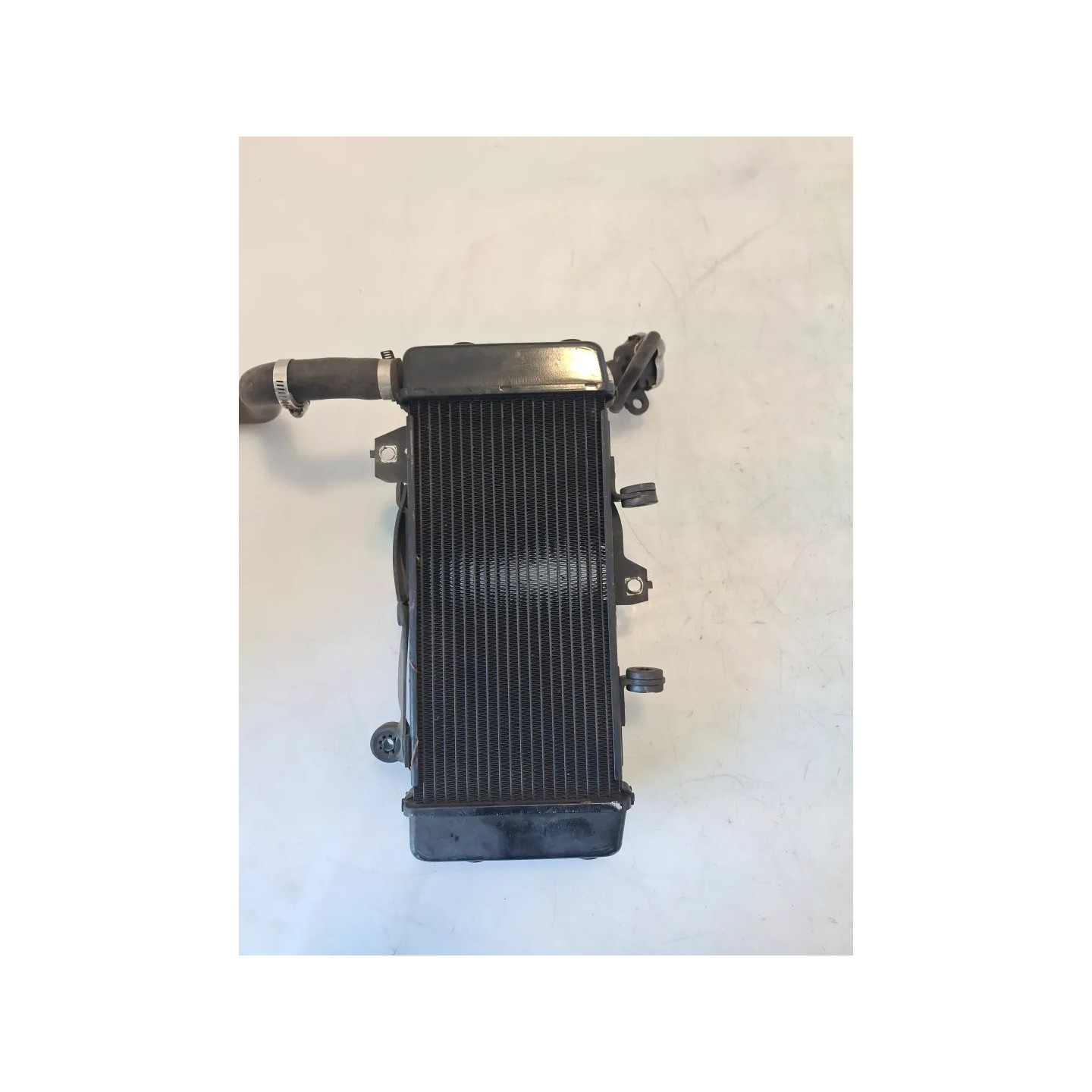 Radiatore Honda cb 300 r CB 300 R (2022 - 26) 