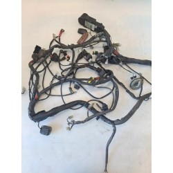 Cablaggio impianto elettrico telaio Aprilia Scarabeo Light (06-13) Scarabeo 500 