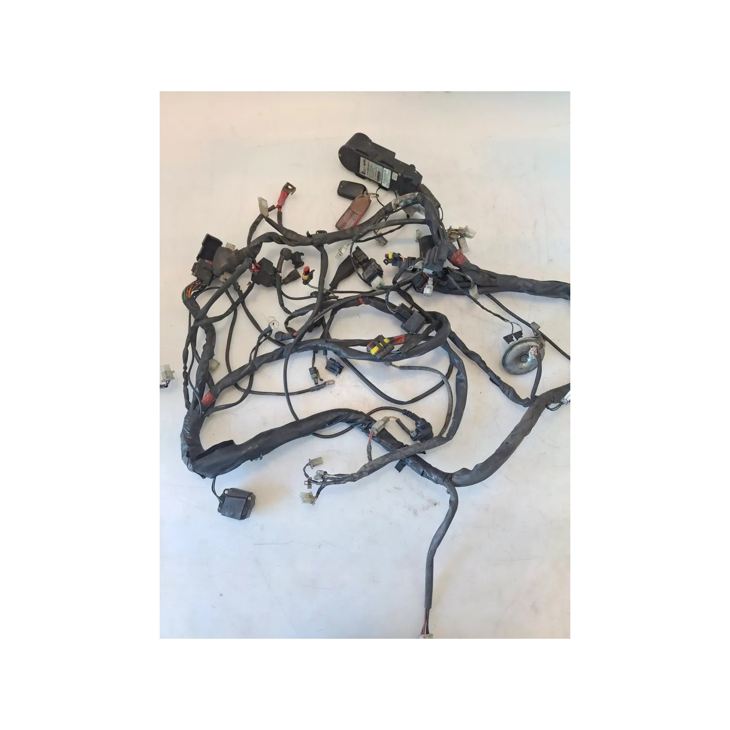 Cablaggio impianto elettrico telaio Aprilia Scarabeo Light (06-13) Scarabeo 500 