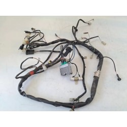 Cablaggio impianto elettrico telaio Malaguti F12 Phantom 50 LC (E2) F12 Phantom 50 LC 