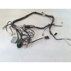 Cablaggio impianto elettrico telaio Malaguti F12 Phantom 50 LC (E2) F12 Phantom 50 LC 