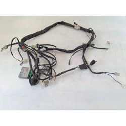 Cablaggio impianto elettrico telaio Malaguti F12 Phantom 50 LC (E2) F12 Phantom 50 LC 