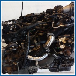 Motore semicompleto FORD Fiesta VI