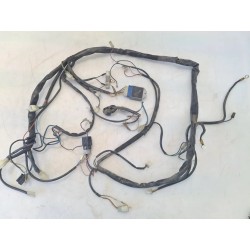 Cablaggio impianto elettrico telaio Malaguti F10 50 (E1) F10 50 