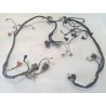 Cablaggio impianto elettrico telaio Hanway X Ray X Ray 125 S 