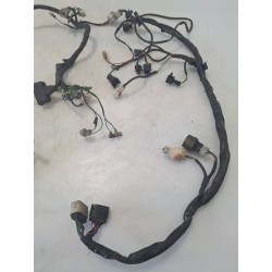 Cablaggio impianto elettrico telaio Hanway X Ray X Ray 125 S 