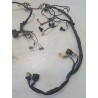 Cablaggio impianto elettrico telaio Hanway X Ray X Ray 125 S 