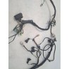 Cablaggio impianto elettrico telaio Hanway X Ray X Ray 125 S 