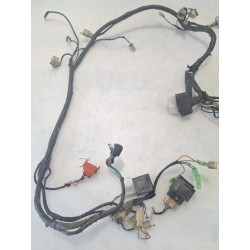 Cablaggio impianto elettrico telaio Hanway X Ray X Ray 125 S 