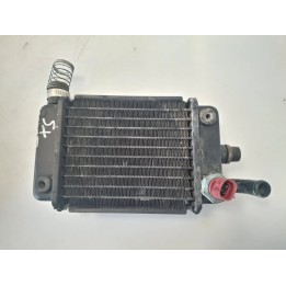 Radiatore Hanway X Ray X Ray 125 S Sinistro