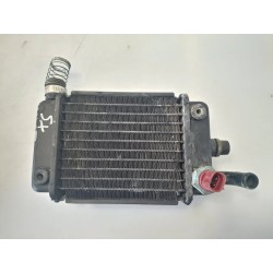 Radiatore Hanway X Ray X Ray 125 S Sinistro