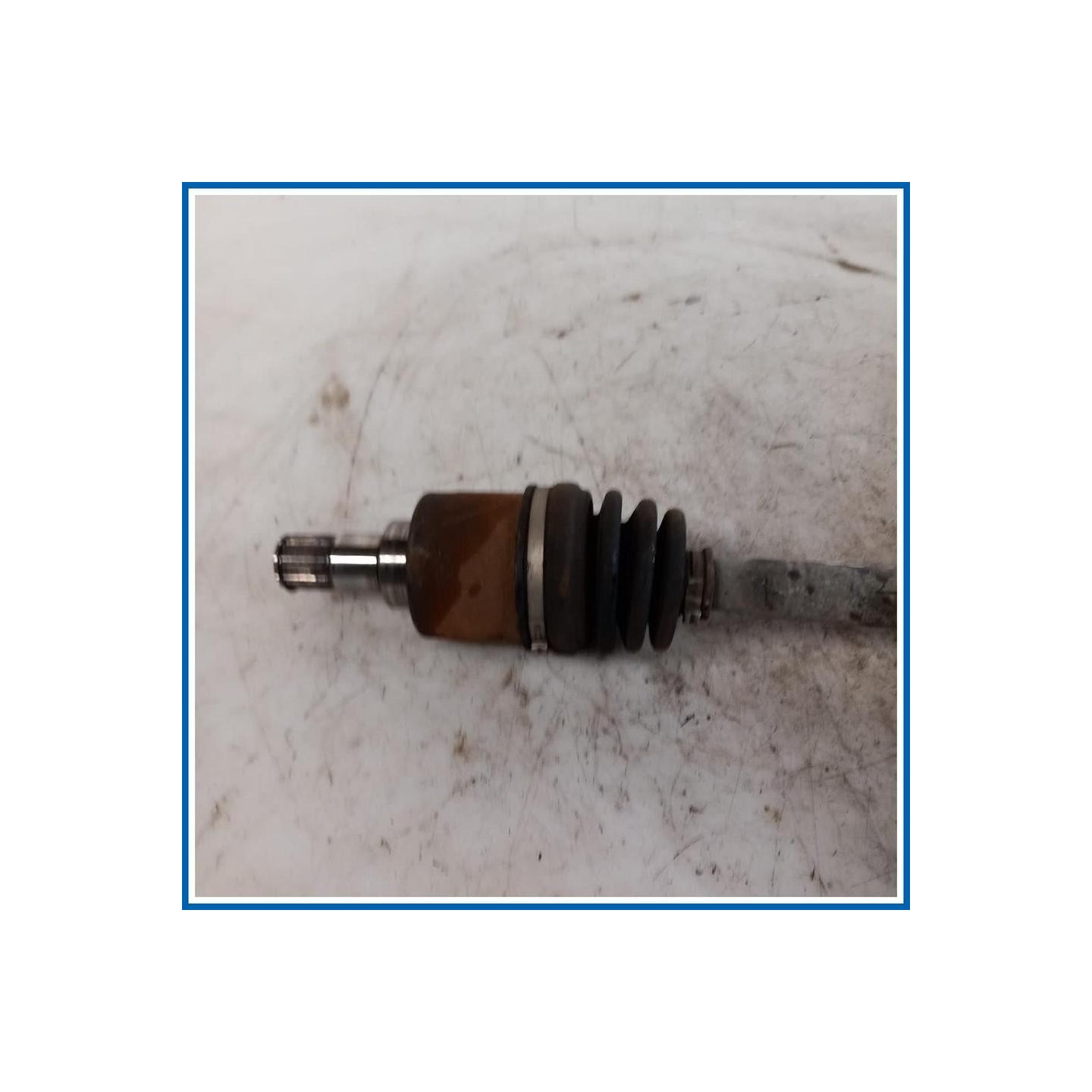 Semiasse ant. sx. DR DR1