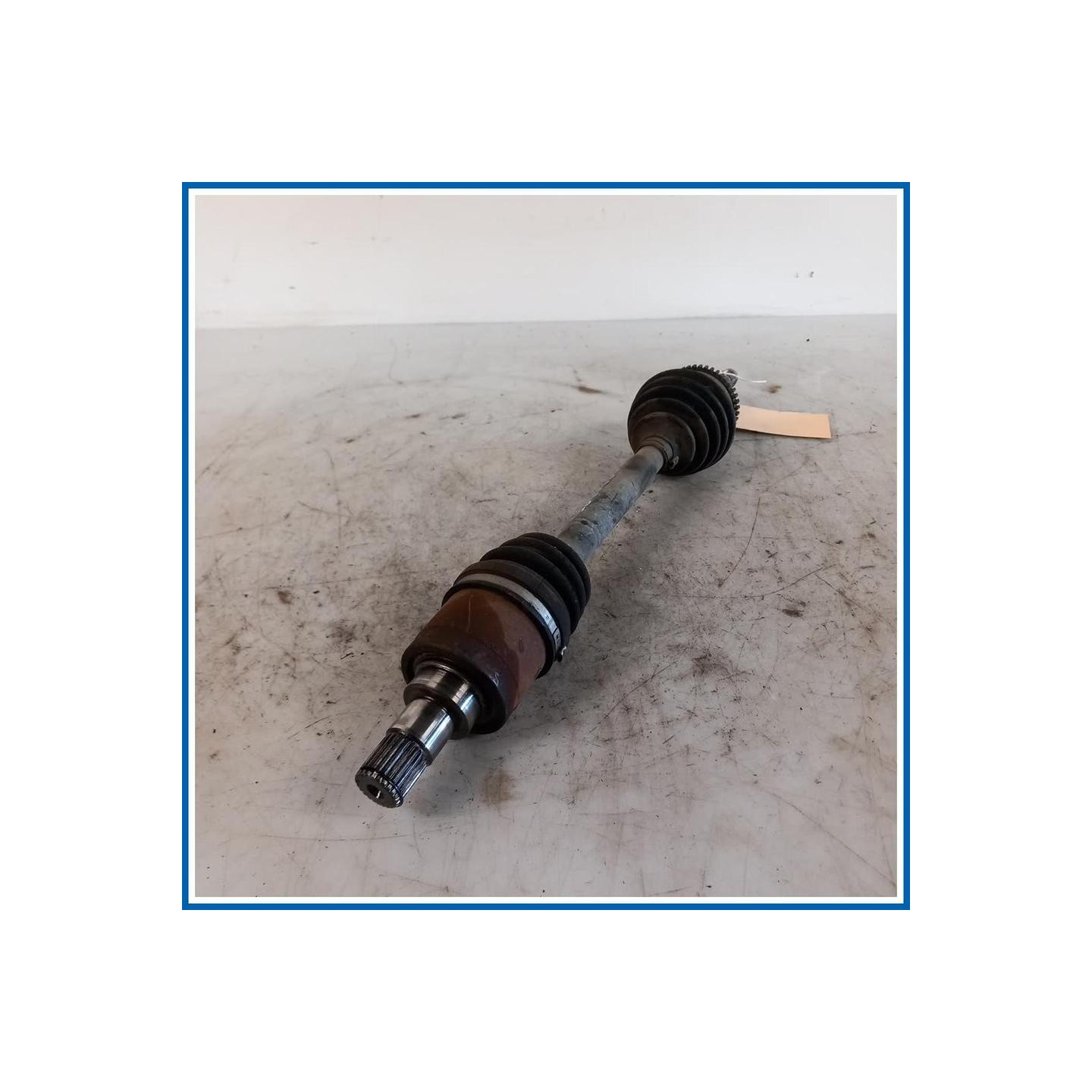 Semiasse ant. sx. DR DR1