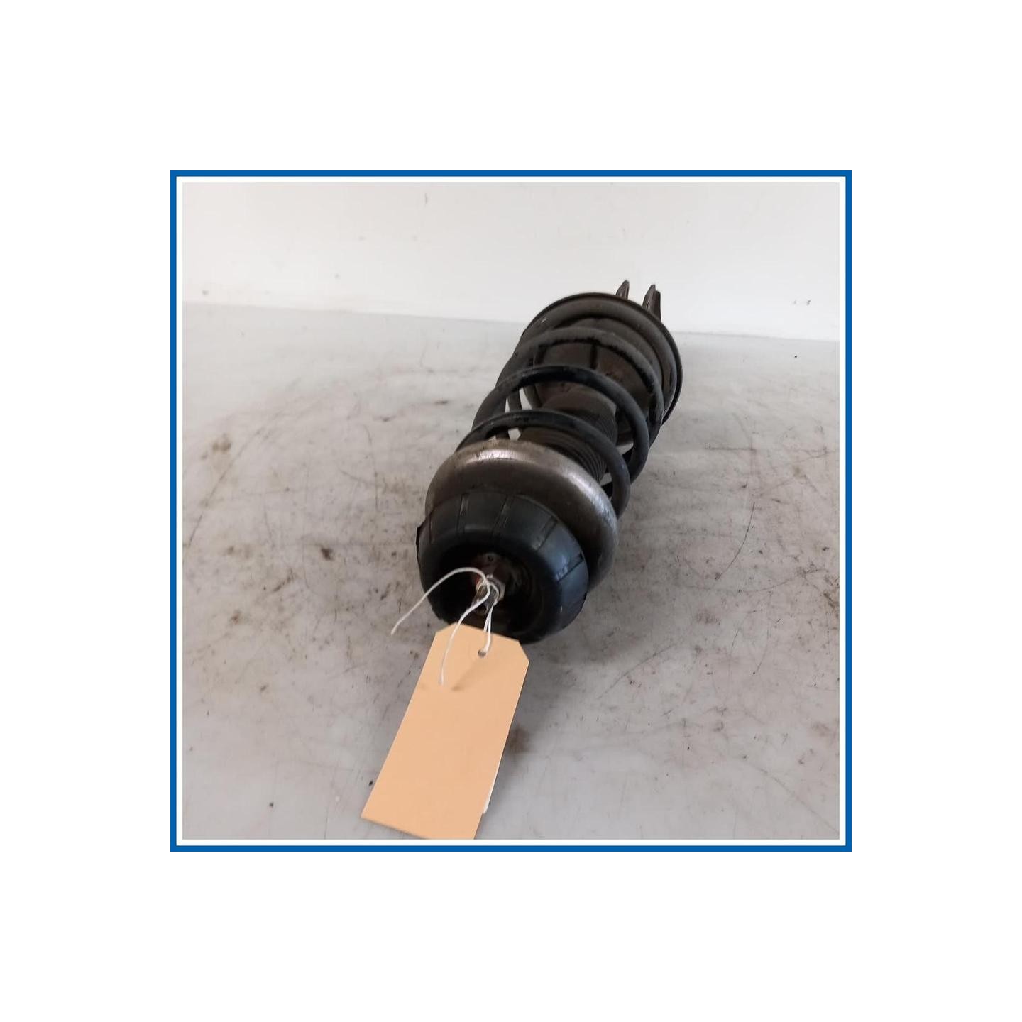 Ammortizzatore ant. dx. FIAT SEDICI (3B) (02/06>11/11