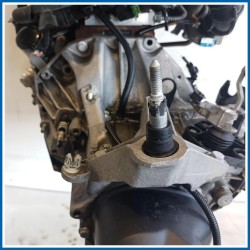 Cambio RENAULT Clio III