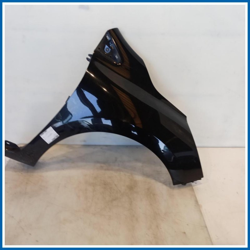 Parafango ant. dx. RENAULT Clio IV