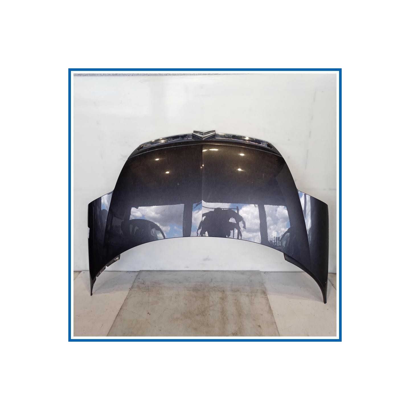 Cofano ant. CITROEN C8