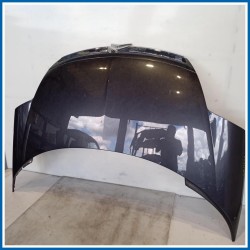 Cofano ant. CITROEN C8