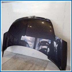 Cofano ant. CITROEN C8