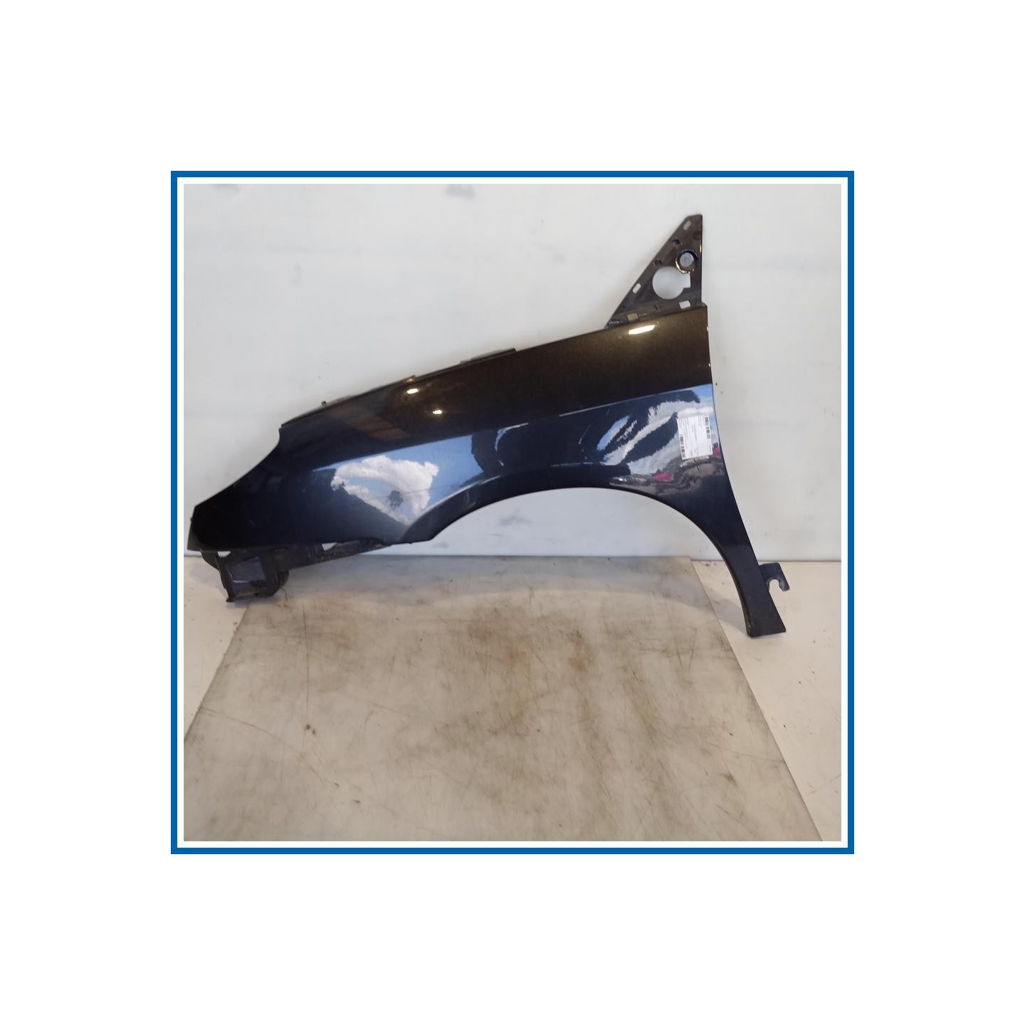 Parafango ant. sx. CITROEN C8
