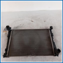 Radiatore acqua FORD Fiesta V