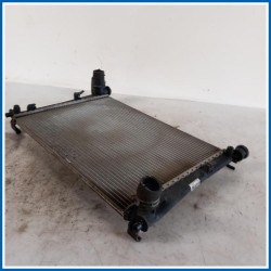 Radiatore acqua FORD Fiesta V
