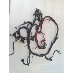 Cablaggio impianto elettrico telaio Yamaha Majesty 400 Majesty 400 (E3) ABS 