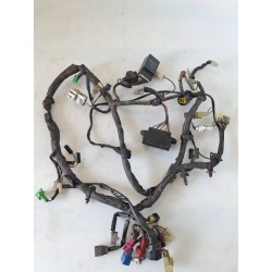 Cablaggio impianto elettrico telaio Yamaha FZS 600 FZS 600 Fazer 