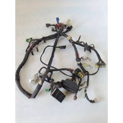 Cablaggio impianto elettrico telaio Yamaha FZS 600 FZS 600 Fazer 